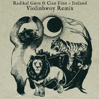 Ireland (Violinbwoy Remix) by Cian Finn