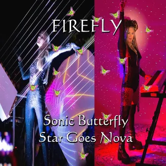 Firefly by Unknown Artist