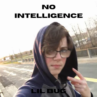 No Intelligence by Lil Bug