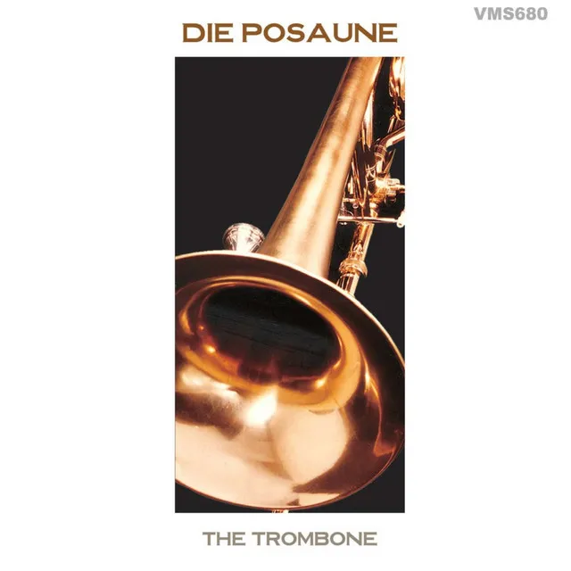 Divertimento for Alto Trombone and Orchestra: Allegro Moderato