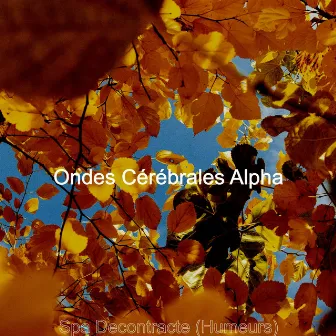 Spa Decontracte (Humeurs) by Ondes Cérébrales Alpha