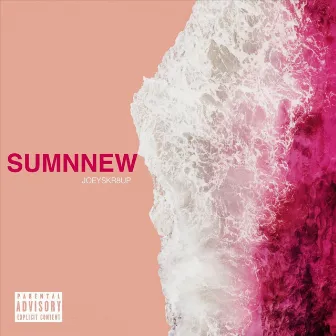 Sumnnew by Joey Skr8up