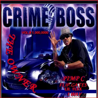 The Owner by CrimeBoss