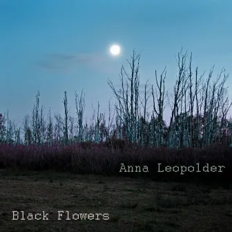 Black Flowers by Anna Leopolder