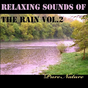 Relaxing Sounds of the Rain, Vol. 2 by Unknown Artist