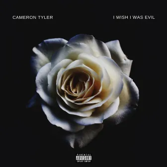 I Wish I Was Evil by Cameron Tyler