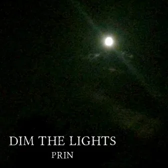 Dim the Lights by Prin