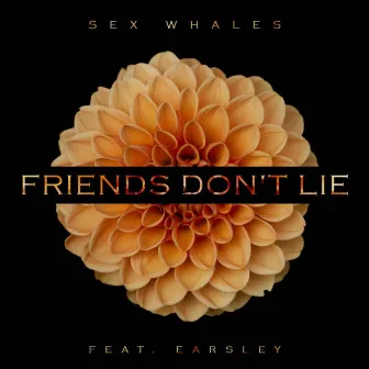 Friends Don't Lie by Whales