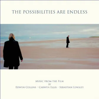 The Possibilities Are Endless by Carwyn Ellis