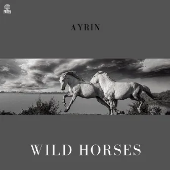 Wild Horses (Piano) by Ayrin