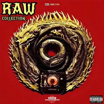 RAW Collection by Alien