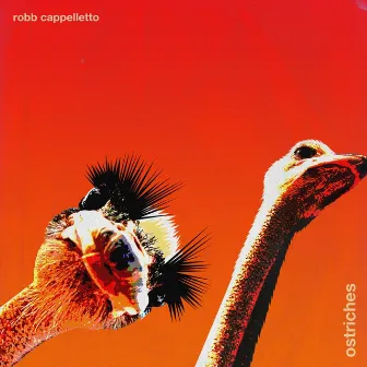 Ostriches by Robb Cappelletto