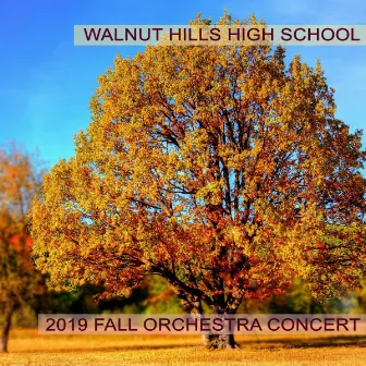 Walnut Hills High School 2019 Fall Orchestra Concert by Walnut Hills High School Chamber Orchestra