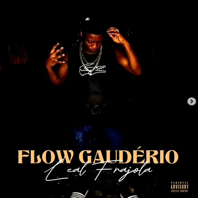 Flow Gaudério