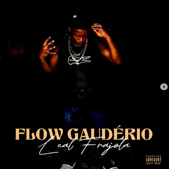 Flow Gaudério by LEAL FRAJOLA