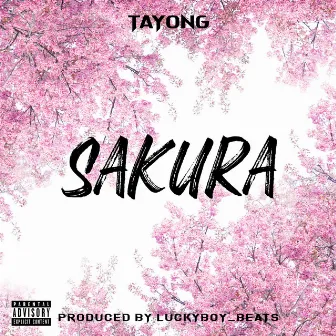 SAKURA by Tayong