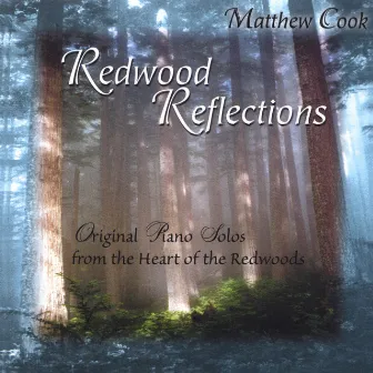 Redwood Reflections by Matthew Cook