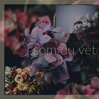 Som Du Vet by robin vega