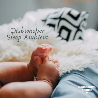 Dishwasher Sleep Ambient by Dishwasher For Babies