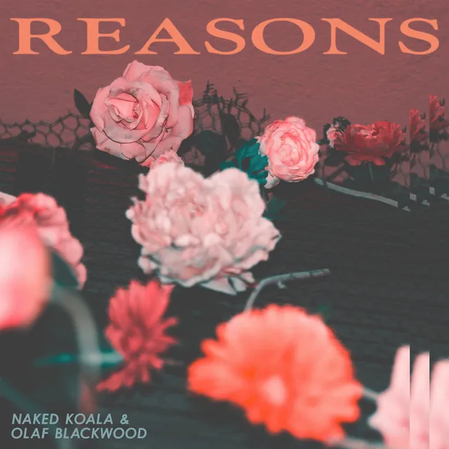 Reasons