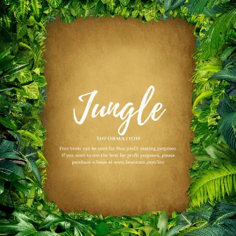 Jungle by KVC