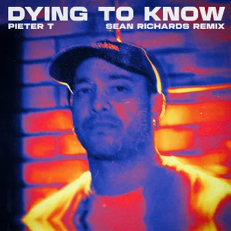 Dying To Know (Sean Richards Remix) by Sean Richards