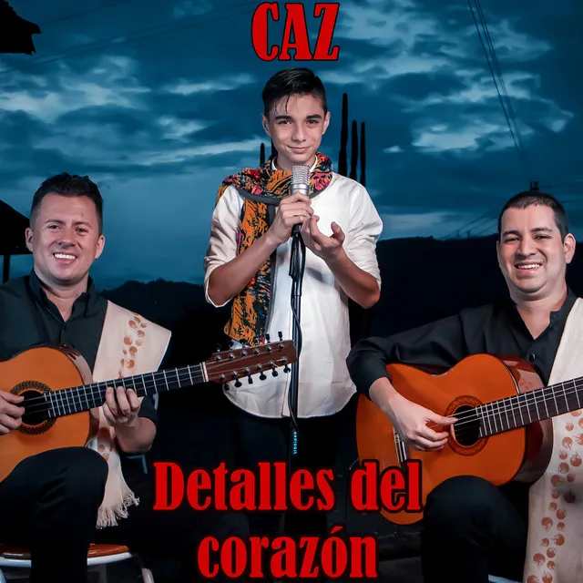 Detalles del corazón