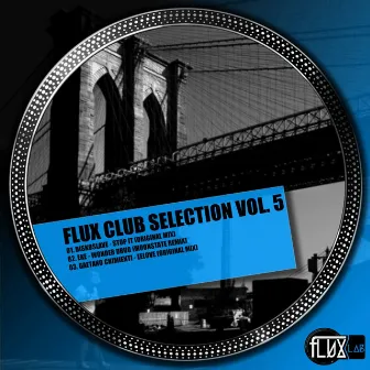 Flux Club Selection, Vol. 5 by Diskoslave