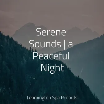 Serene Sounds | a Peaceful Night by Nature Recordings