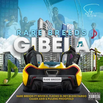 GIBELA by Rare Breeds