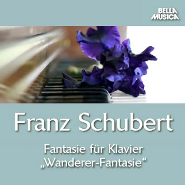 Sonatensatz für Klavier, Violine und Violoncello in B Major, D. 28