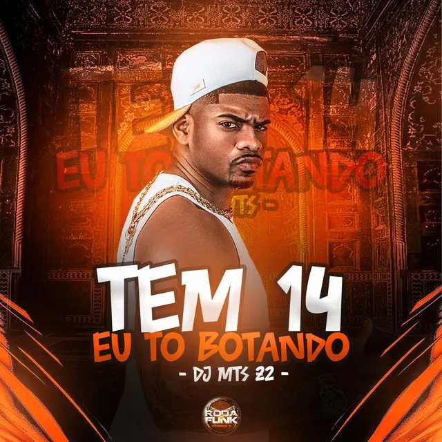 Tem 14 Eu To Botando