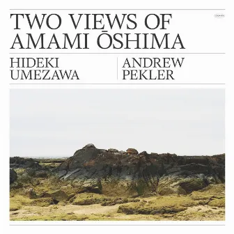 Two Views Of Amami Oshima by Andrew Pekler