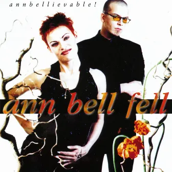 Annbelievable by Ann Bell Fell