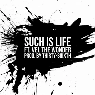 SUCH IS LIFE by Spy MC