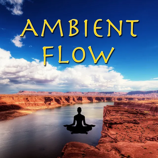 Ambient Flow