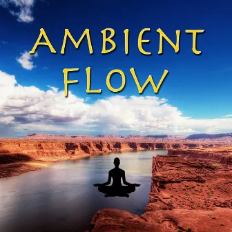 Ambient Flow by The Sleepers