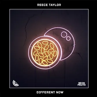 Different Now by Reece Taylor