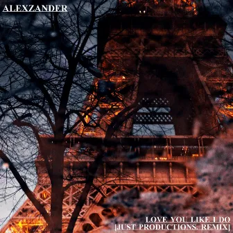 Love You Like I Do (Just Productions. Remix) by ALEXZANDER