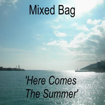 Here Comes the Summer by Mixed Bag