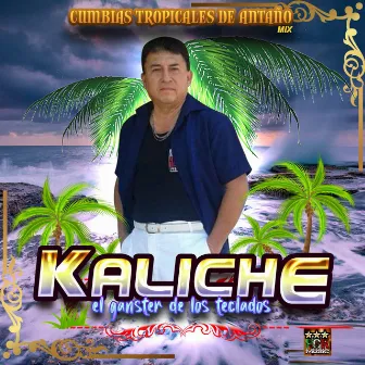 Cumbias Tropicales De Antaño Mix by Kaliche El Ganster De Los Teclados