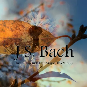 Invention in B Flat Major, BWV 785 by Spring Music