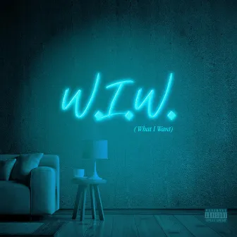 W.I.W. (What I Want) by China Shadae