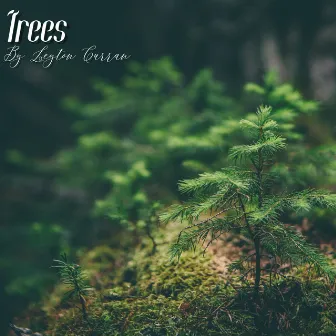 Trees by Leyton Curran