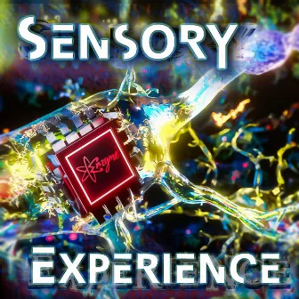 Sensory Experience by Enzyme