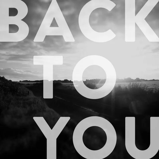 Back to You (feat. Ryan McLarnon)