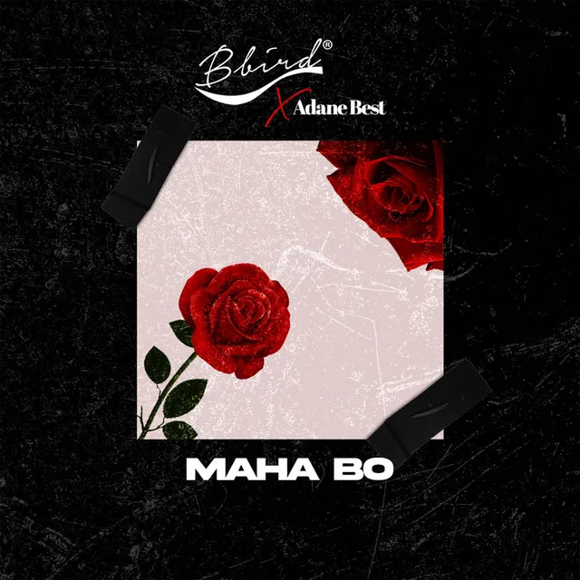 Maha Bo