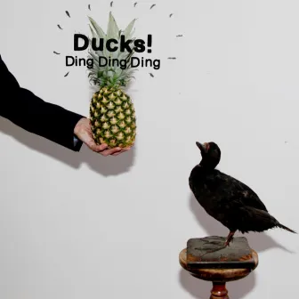 Ding Ding Ding by Ducks!