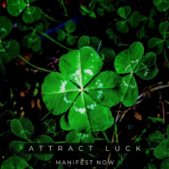 Attract Luck by Manifest Now