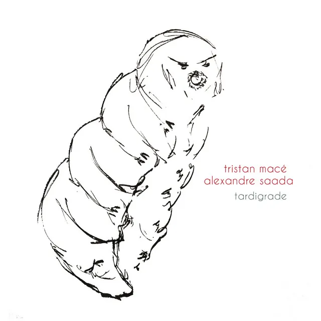 Tardigrade